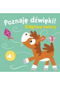 Poznaję dzwięki - Odgłosy natury