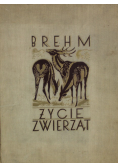 Życie zwierząt  Tom I 1939 r.