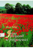 Jezus przyszedł w przypowieści