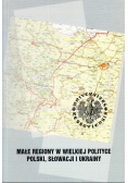 Małe regiony w wielkiej polityce Polski Słowacji i Ukrainy