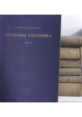 Anatomia człowieka Tom I do VII