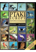 Ptaki europy Przewodnik fotograficzny