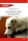 Dlaczego pies się drapie?