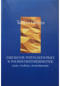 Zarządzanie potencjałem pracy w polskim przedsiębiorstwie