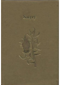 Satyry  miniatura