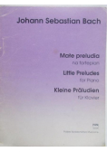 Małe preludia na fortepian