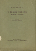 Grzyby niższe pragrzyby i glonowce