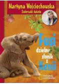 Fusi, dzielny słonik z Kenii