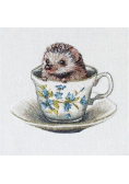 Karnet kwadrat z kopertą Baby Hedgehog