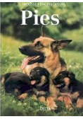 Pies Encyklopedia