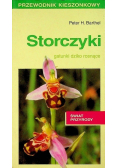 Storczyki wersja kieszonkowa