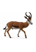 Kozioł Springbok