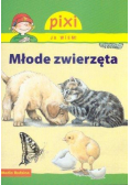 Pixi Ja wiem! Młode zwierzęta
