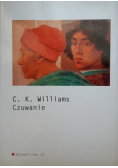 Czuwanie