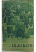 Drzazgi bambusa