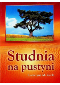 Studnia na pustyni