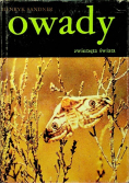 Owady