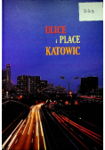 Ulice i place Katowic