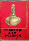 Pradzieje ziem polskich tom 1 część 2