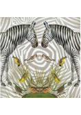Karnet kwadrat z kopertą Zebra