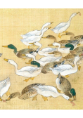Karnet 17x14cm z kopertą Ducks feeding