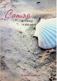 Camino do Santiago i w głąb siebie