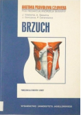 Brzuch