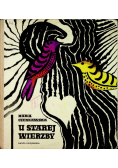 U starej wierzby