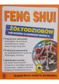Feng shui dla żółtodziobów