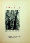 Puszcze Polskie