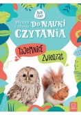 Wyrazy i zdania do nauki Tajemnice zwierząt