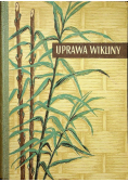 Uprawa wikliny