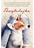 Przytulajka Wydanie kieszonkowe