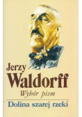 Wybór pism Dolina szarej rzeki
