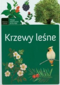 Krzewy leśne