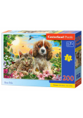 Puzzle 200 Best Pals