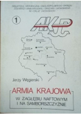 Armia Krajowa w zagłębiu naftowym i na samborszczyźnie