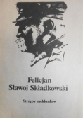 Strzępy meldunków
