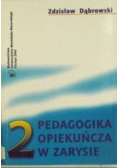 Pedagogika opiekuńcza w zarysie Tom 2