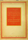 Powstanie chłopskie na Podhalu w 1651r / Ruch chłopski w Wielkopolsce 1651r