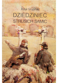 Dziedziniec strusich samic