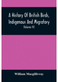 A History Of British Birds, Indigenous And Migratory