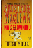 Na celowniku