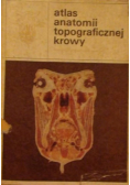 Atlas anatomii topograficznej krowy