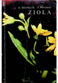 Zioła