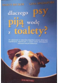 Dlaczego psy piją wodę z toalety