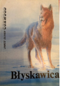Błyskawica