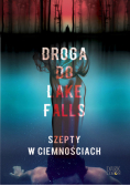 Droga do Lake Falls