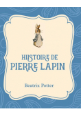 Histoire de Pierre Lapin