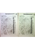 Zamojszczyzna Sonderlabolatorium 2 tomy